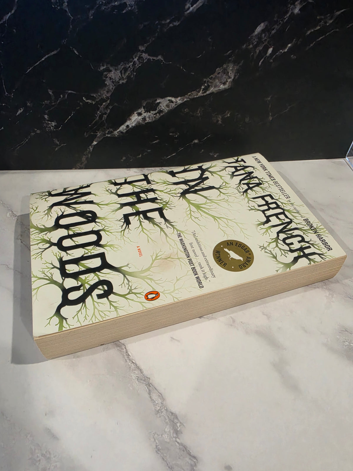 Tana French - In the Woods