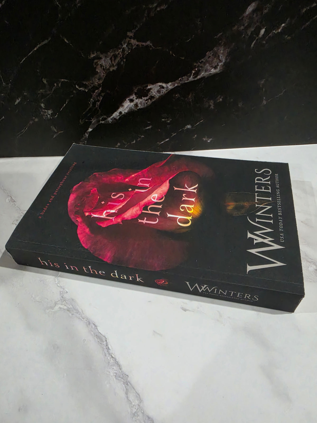 Willow Winters - His in the Dark (Signed)