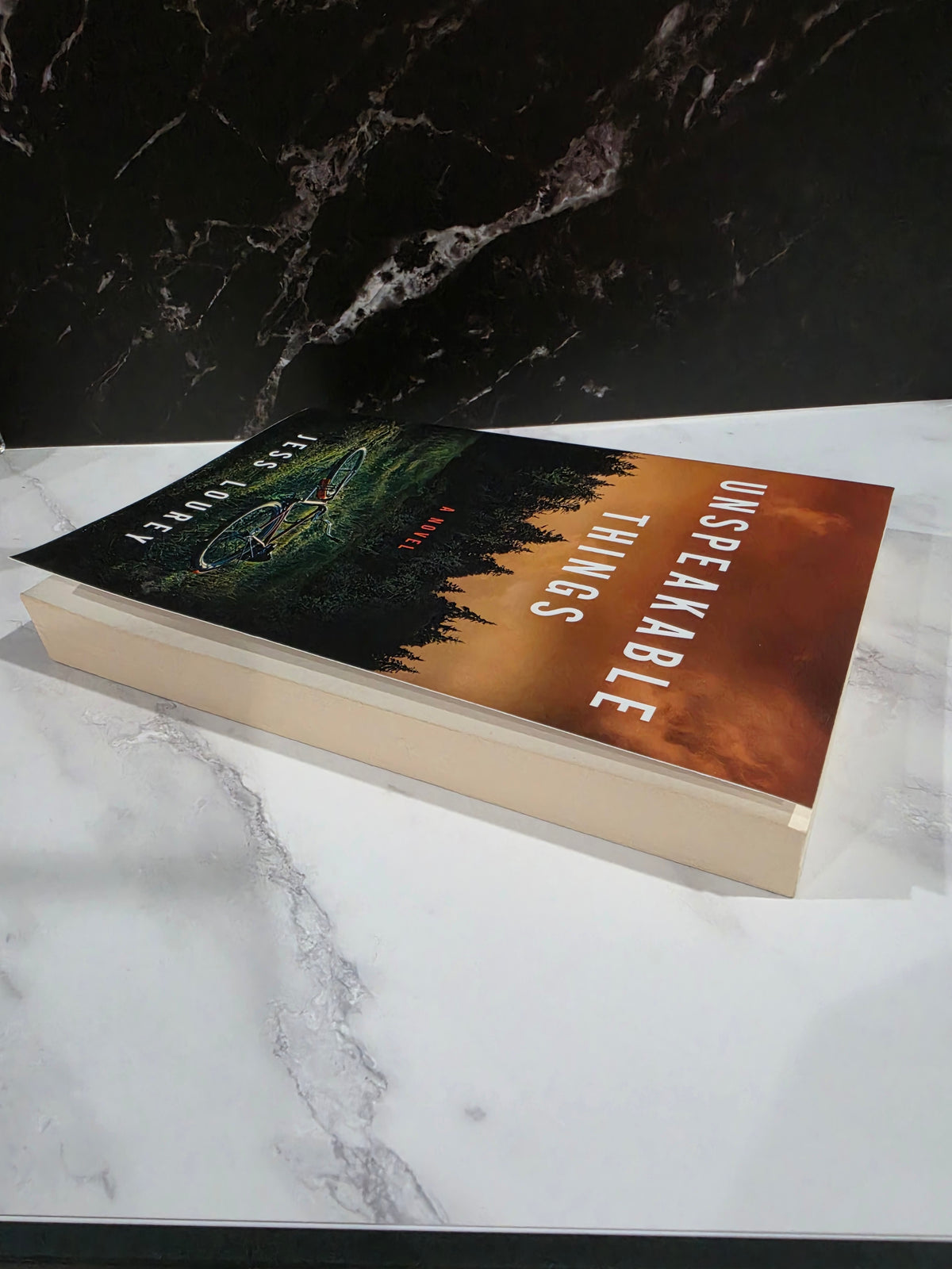 Unspeakable Things - Jess Lourey