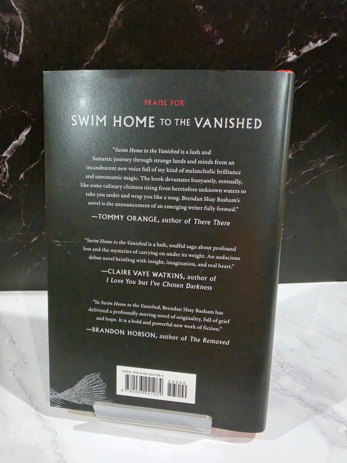 Brendan Shay Basham - Swim Home to the Vanished