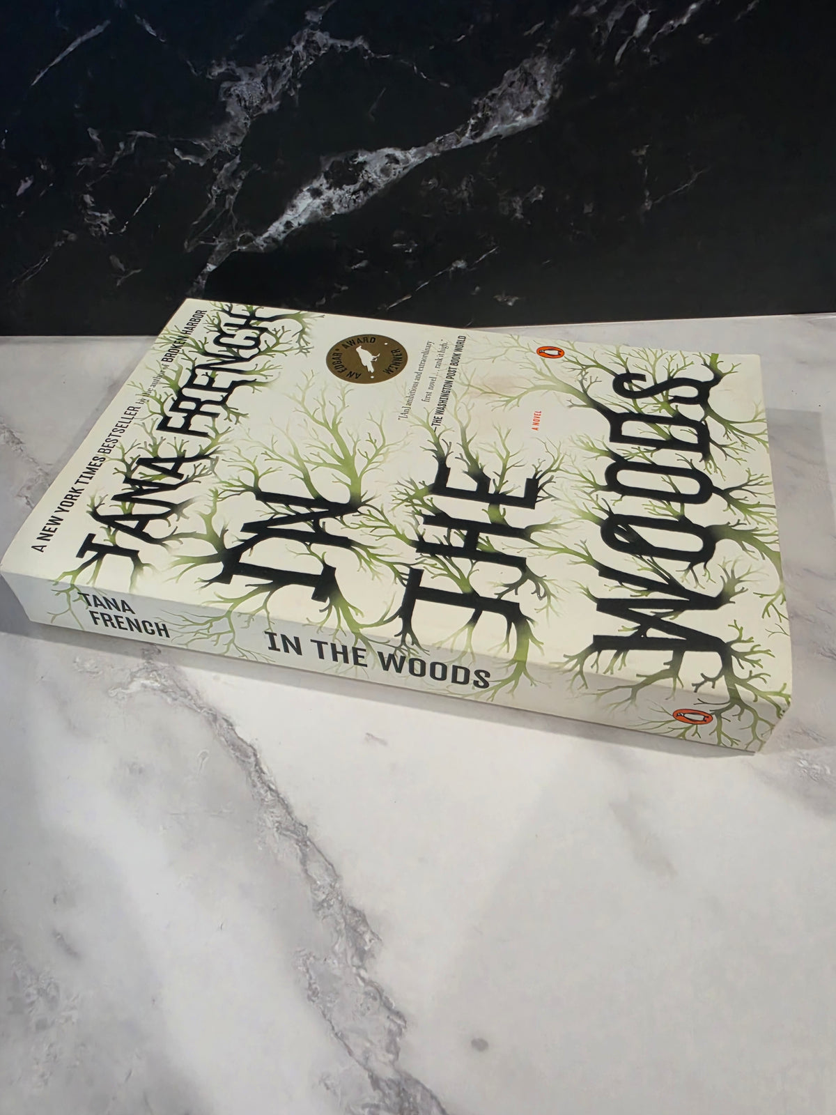 Tana French - In the Woods