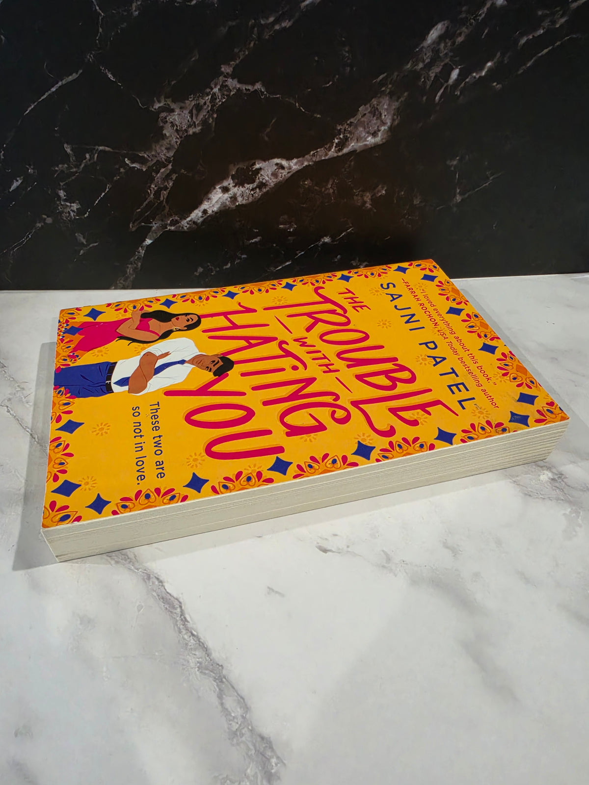 Sajni Patel - The Trouble With Hating You