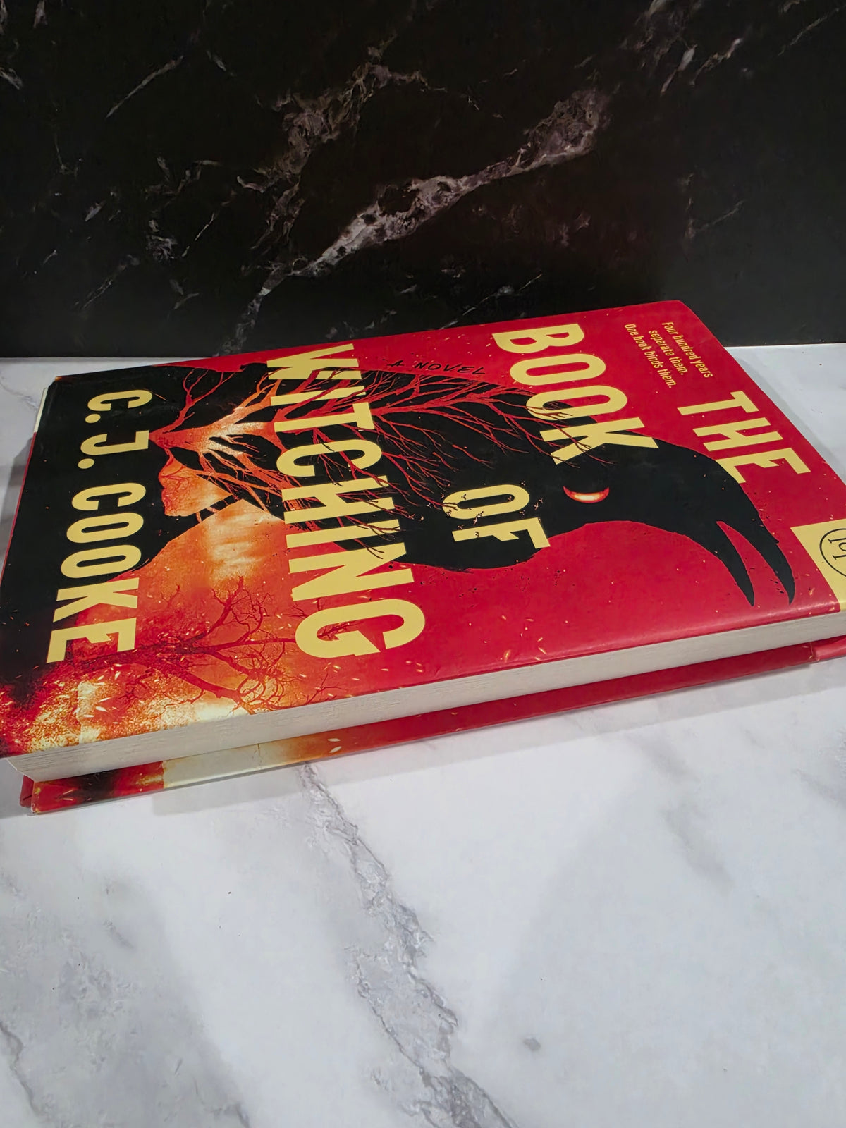 C.J. Cooke - The Book of Witching
