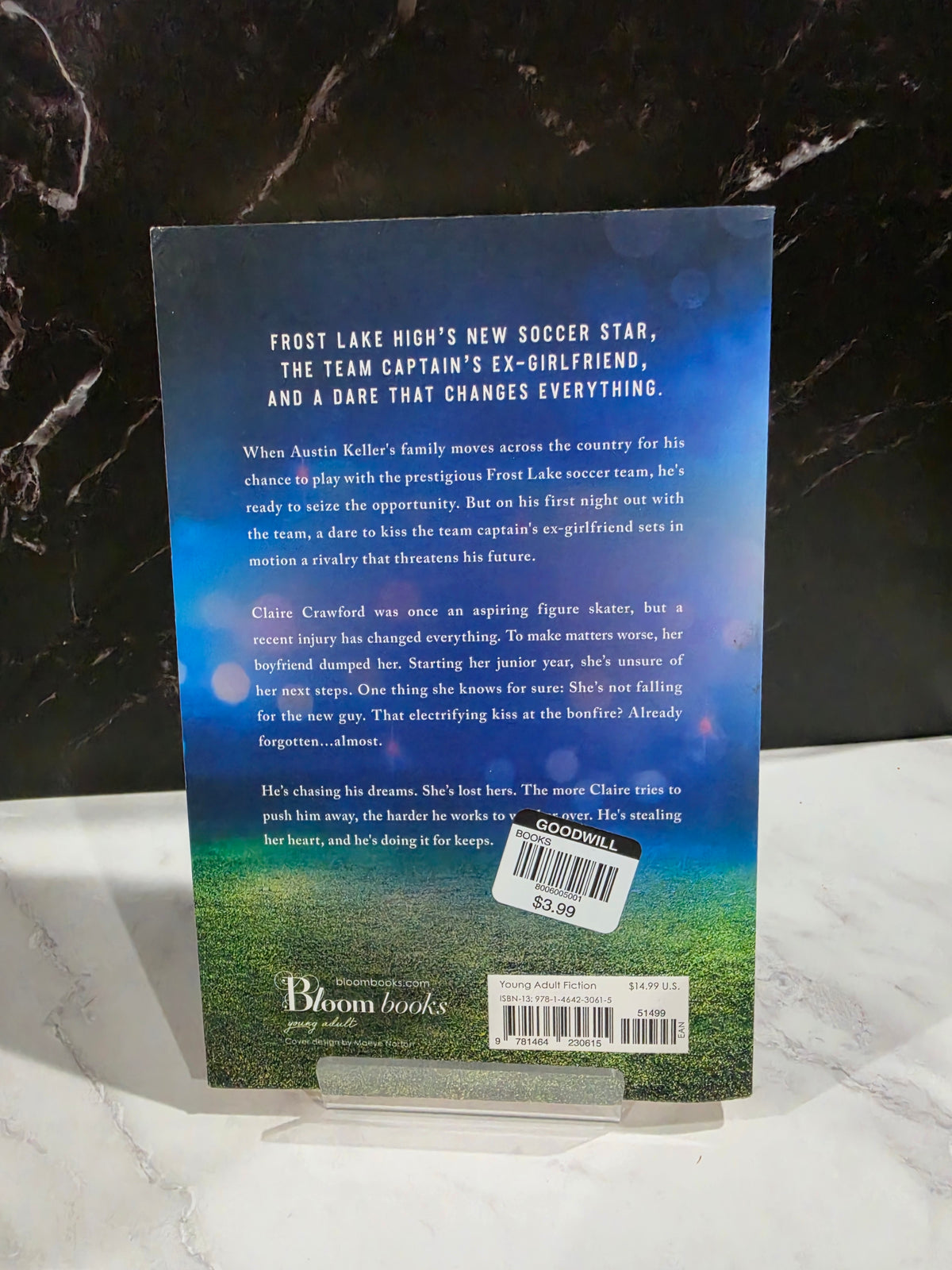 Rebecca Jenshak - Stealing for Keeps